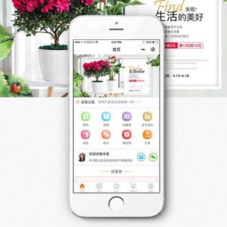 印江门店微商城小程序开发